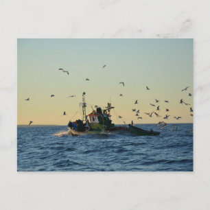 Fischerboot und Möwen. Postkarte