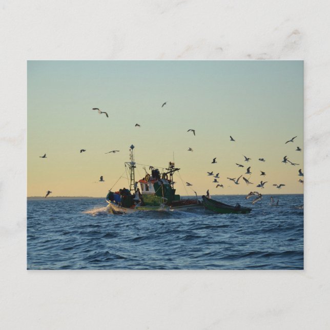 Fischerboot und Möwen. Postkarte (Vorderseite)