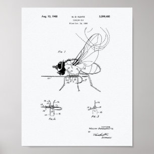 Fischerei Fliegen 1968 Weißbuch über Patentart Poster