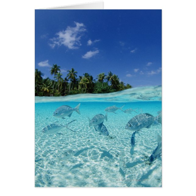 Fischerei im Meer (Vorne)