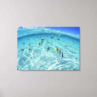 Fischerei im Meer 2 Leinwanddruck