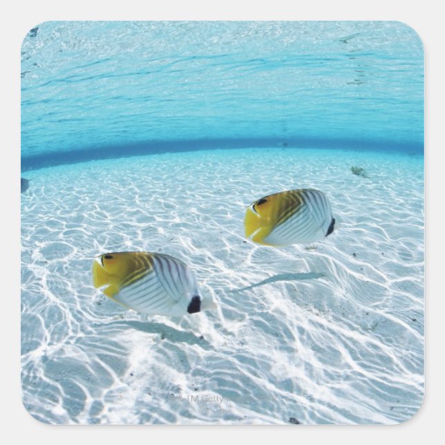 Fischerei im Meer 2 Quadratischer Aufkleber (Vorderseite)