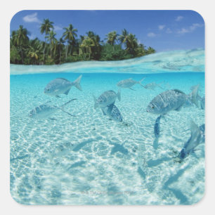 Fischerei im Meer Quadratischer Aufkleber