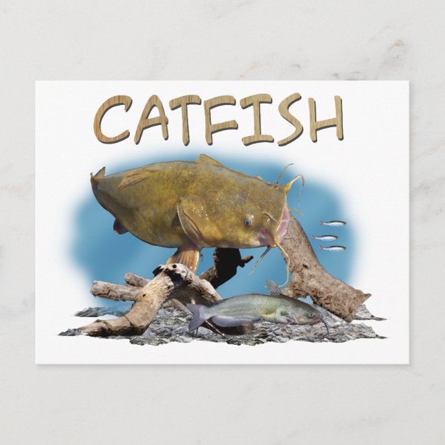 Fischerei Postkarte (Vorderseite)