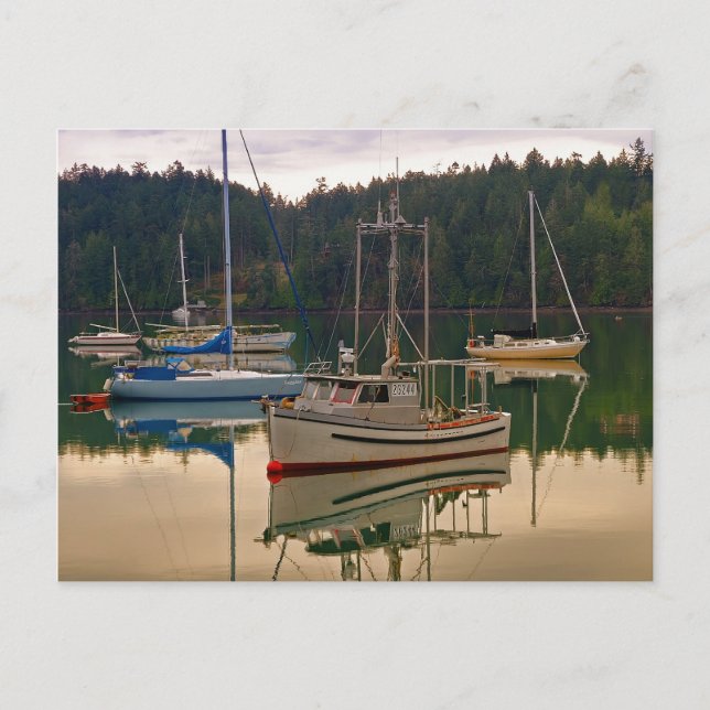 Fischereifahrzeuge und Segelboote Postkarten (Vorderseite)