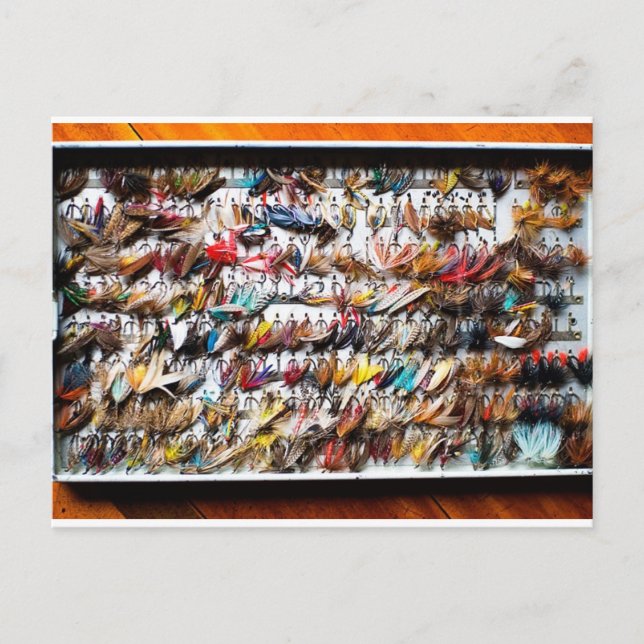 Fischereifische Postkarte (Vorderseite)