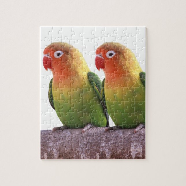 "Fischer's Lovebird"の 優 良 製 品 Puzzle (Vertikal)