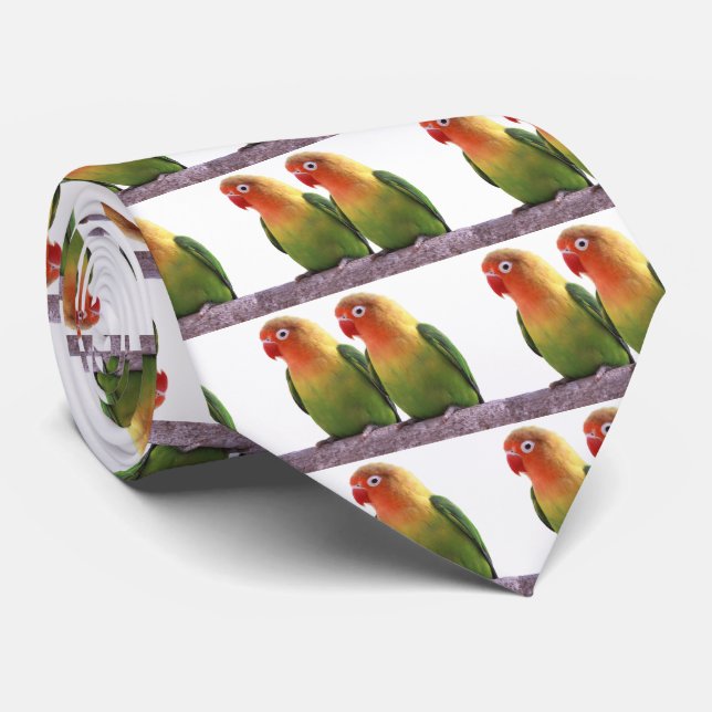 Fischer's Lovebird Krawatte (Gerollt)
