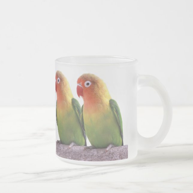 Fischer's Lovebird Mattglastasse (Rechts)