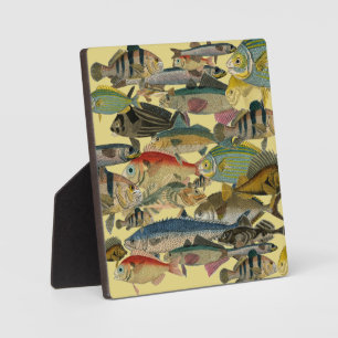 Fischfang Tiefseefischerei in exotischen tropische Fotoplatte