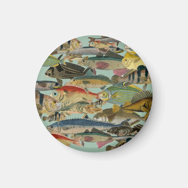 Fischfang Tiefseefischerei in exotischen tropische Magnet (Vorne)