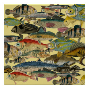 Fischfang Tiefseefischerei in exotischen tropische Poster