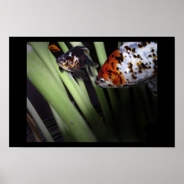 Fischgeschäft Poster (Vorne)