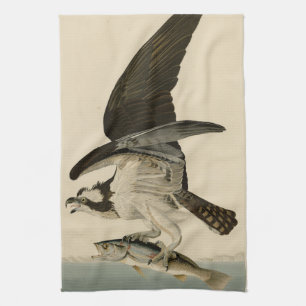 Fischhawk, Osprey, von Audubons Vögeln von Amerika Geschirrtuch