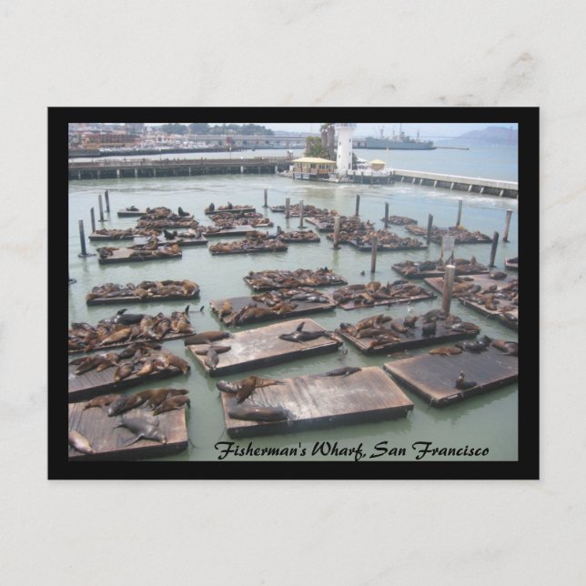 Fischkeule Postkarte (Vorderseite)