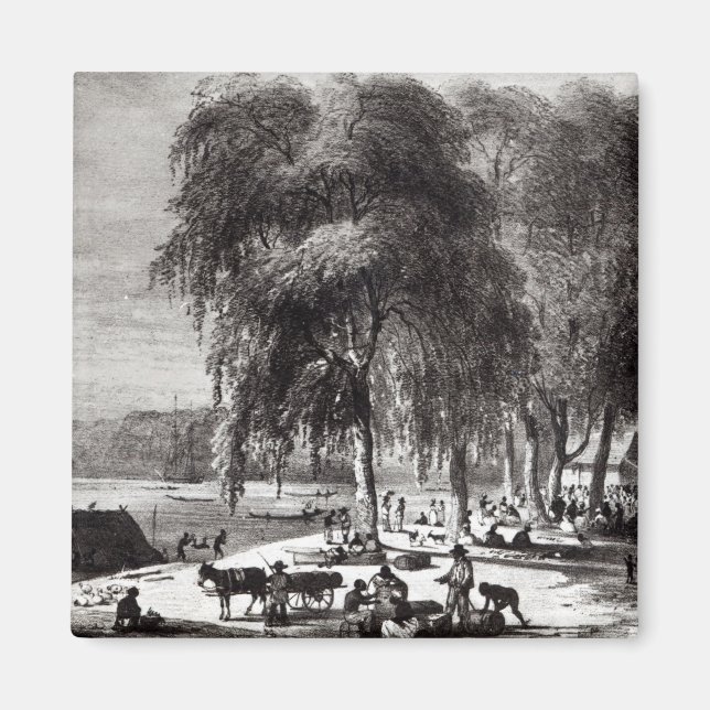 Fischmarkt, Paramribo Magnet (Vorne)