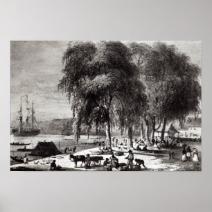 Fischmarkt, Paramribo Poster