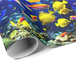 Fischmeer Geschenkpapier