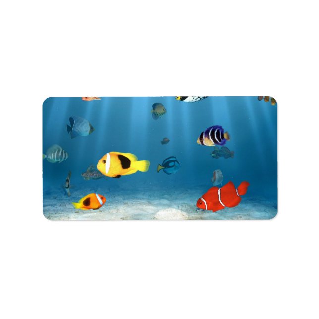 Fischmeere Adressaufkleber (Vorne)