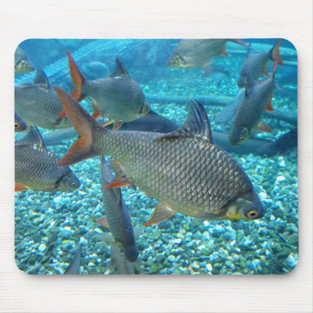Fischmuschel Mousepad (Vorne)