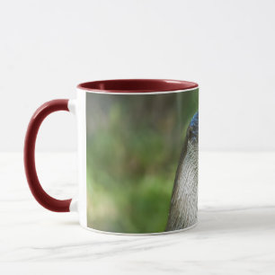 Fischotter Tasse