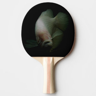 Fischportrait Tischtennis Schläger