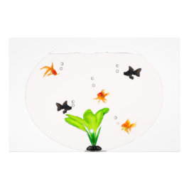 Fischschale Fotodruck