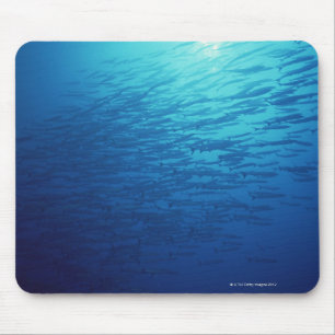 Fischschule 12 mousepad