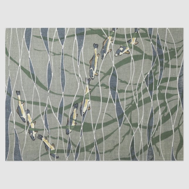 Fischschule in Kelp Seidenpapier (Vorderseite)