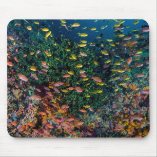Fischschwärme schwimmen im Riff Mousepad