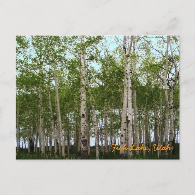 Fischsee, Utah Postkarte (Vorderseite)