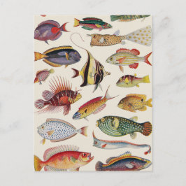 Fischsorten Postkarte