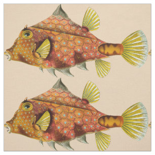 Fischverpackungsstoff Stoff