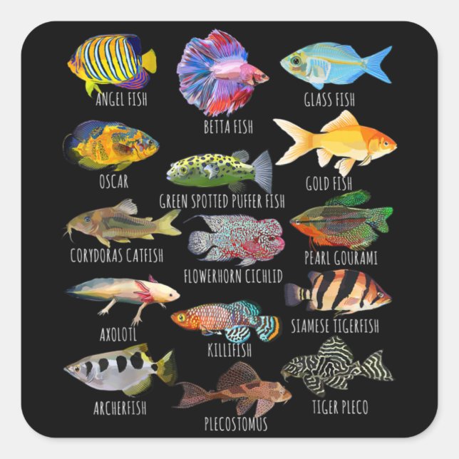 Fischzuchtarten Biologische Aquarienarten Quadratischer Aufkleber (Vorderseite)