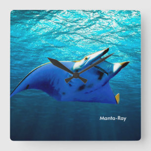 Fish Image for Square-Wall-Clock Quadratische Wanduhr