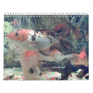 Fish Koi Calendar Kalender