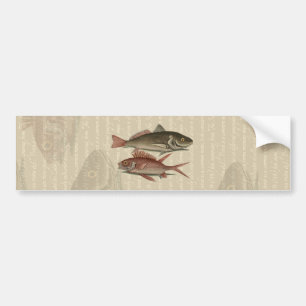 Fish Red Perch Fisherman Art Autoaufkleber