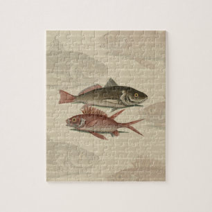 Fish Red Perch Fisherman Art Puzzle