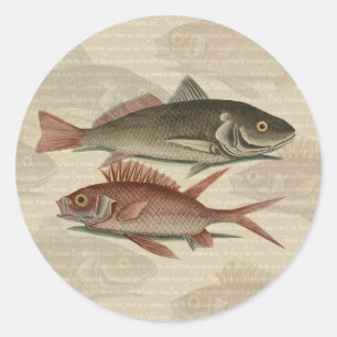 Fish Red Perch Fisherman Art Runder Aufkleber