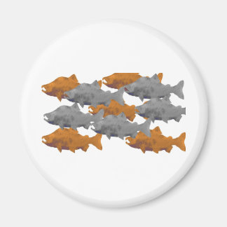 FISH - Silber und Kupferlachs Magnet