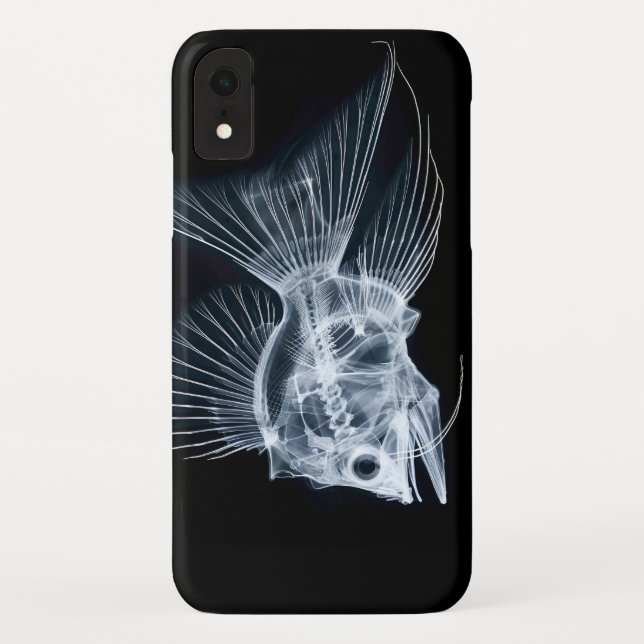 Fish X-Ray iPhone / iPad Gehäuse Case-Mate iPhone Hülle (Rückseite)
