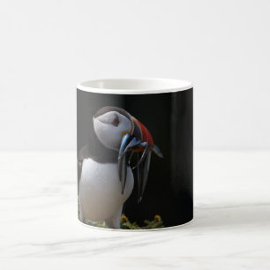 Fisher-Papageientaucher Kaffeetasse