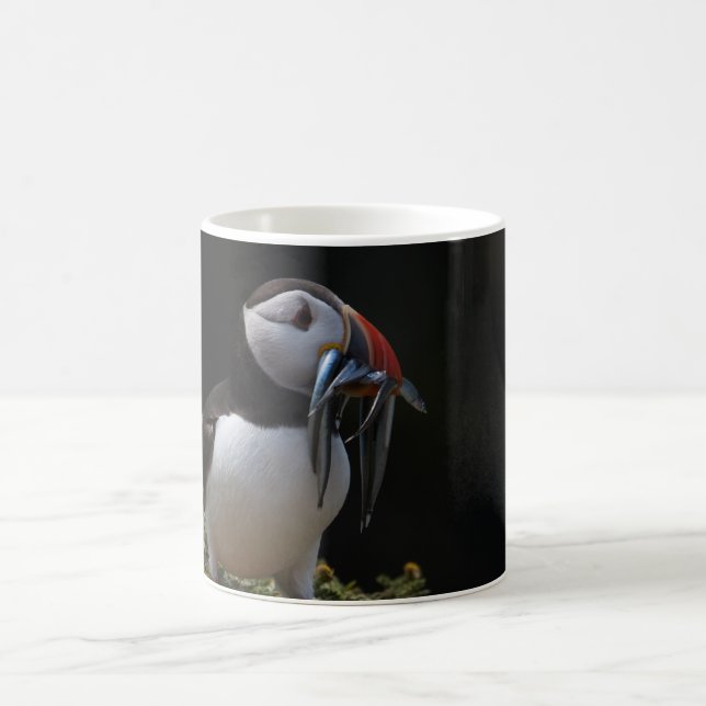 Fisher-Papageientaucher Kaffeetasse (Mittel)