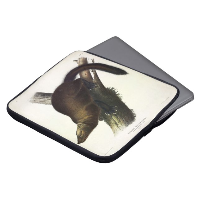 Fisher (Pennant's Marten oder Cat Fisher) von Audu Laptopschutzhülle (Vorne Oben)