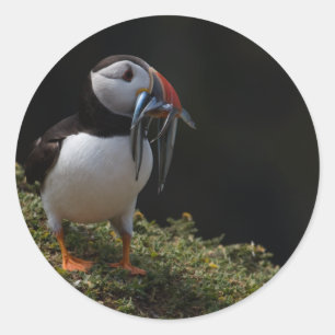 Fisher Puffin Runder Aufkleber