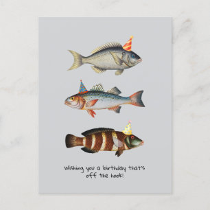 Fisherman Fish Hat Fun Geburtstags-Postkarte Feiertagspostkarte