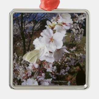 Fisheye Ansicht des Schmetterlinges auf Blume Ornament Aus Metall