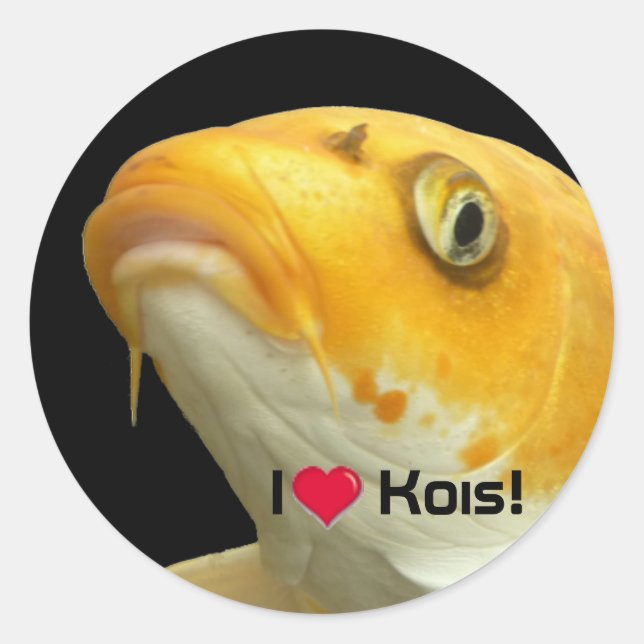 Fishies - Koi no.5 - I love Kois! Sticker (Vorderseite)