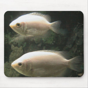 Fishies mousepad