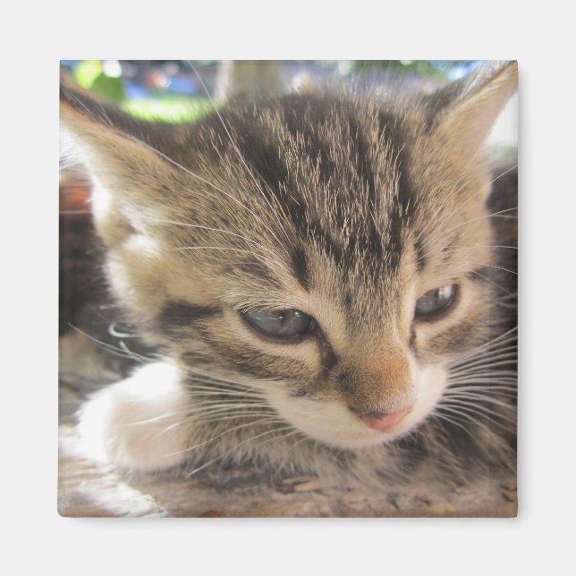 Fitsy das Hübsche One Magnet (Vorne)